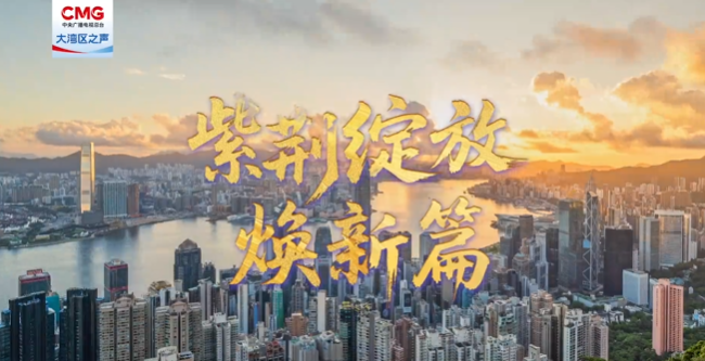 紫荆绽放焕新篇 | 筑牢国安长城